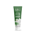 Tea Tree Acne Whip Foam
