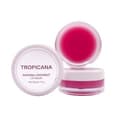 Natural Coconut Lip Balm (Non-Preservative) Pomegranate Joyful