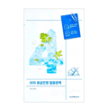 No.4 Icy Soothing Sheet Mask 1ea