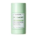 SKINTIFIC Mugwort Anti Pores & Acne Clay Stick 40g